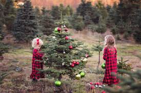 What do i need for a christmas photo shoot? Tis The Season Christmas Tree Farm Pictures Christmas Tree Farm Photo Shoot Christmas Tree Farm Photos