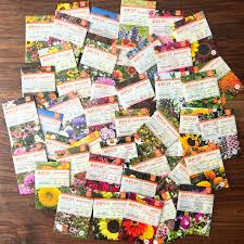 In a barren winter landscape, it's hard not to dream of the bright colors  of spring and summer. Here are a few photos from customer Dian Floyd to  lend some cheer to