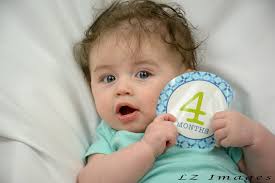 Profile for LZ Images