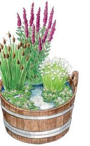Mini Teiche Gekonnt Gestalten Miniteich Diy Gartenprojekte Diy Gartenbau