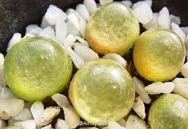 介绍小萌物 来自浮梦今生 漠看巍巍红尘的图片分享 堆糖网 succulent gardening planting succulents ornamental plants