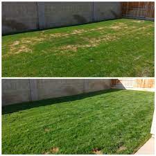 How long to water lawn reddit. Reddit Told Me I Was Watering My New Grass Too Late At Night So I Started Watering Earlier In The Day Results After 1 Week Bottom After Imgur