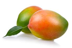 In coastal california, mangos flower in spring with fruits of early season varieties typically ripening in september thru november. Mango Tree Keitt Variety Grafted