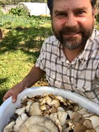 Porcelain mushroom cultivation tips needed