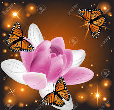 Saw something that caught your attention? Beautiful Lotus Flower With Butterflies On A Glowing Background Royalty Free Cliparts Vectors And Stock Illustration Image 33448848