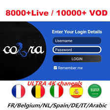 More popular channels cover sports news and cartoon ， e.g sky sports bein sports cnn osn hd 4k channels. Arabic Iptv Apk Subscription 10000 Vod German M3u 8000 Channels X X X Germany Brasil Romania Iptv Reseller Panel China Iptv Reseller Panel Iptv Subscription Made In China Com