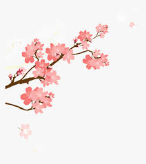 Korean Style Cherry Blossom Cartoon Transparent Cherry Blossom Cartoon Png Png Download Transparent Png Image Pngitem Japanese hope kanji, cherry blossom geisha art print. korean style cherry blossom cartoon