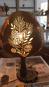 Kumar K Adli Kullanicinin Ahmet Baktimur Panosundaki Pin Su Kabagi Lamba Sus