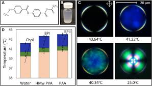 Sin senos no hay paraíso. Prolate And Oblate Chiral Liquid Crystal Spheroids Science Advances