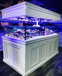 Tips For Choosing And Maintaining A Freshwater Aquarium 4 2020 Tatlisu Akvaryumu Akvaryum