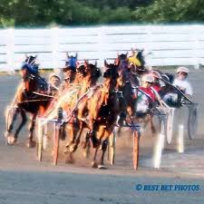 You heard me right, recently our beautiful horses at the berlin. Best Bet Photos Ocean Downs Ostrich Race Ocean Downs Casino Harness Racetrack Facebook
