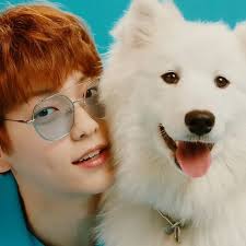 Maybe you would like to learn more about one of these? Mari Bedoyavargas1 Fotos Y Videos De Instagram Soobin Cat Dog Soobin Cat And Dog Txt Cat Dog Mv