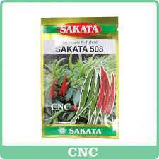 Sistem fertigasi cili padi f1. 5gm Sakata 508 Benih Cili Padi Hot Pepper F1 Hybrid Chilli Cili Api Padi Fertigasi Lazada