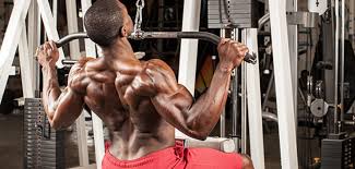 Naming skeletal muscles according to a number of criteria: Compound Exercises Bring Compounded Results Get More In Less Time Bodybuilding Com