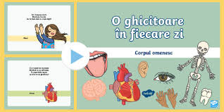Doi copii au 6 ani și unul are 1 an. O Ghicitoare In Fiecare Zi Ghicitori Despre Corpul Omenesc