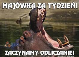 https://encrypted-tbn0.gstatic.com/images?q=tbn:ANd9GcTDni6v5zUGi-oSC5LaZBHskBLznhThtDA-1UujScPbRyBn3GN-qQ