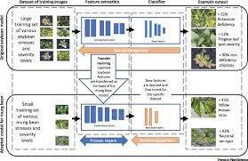 A model for understanding combined development of crops with improved performance under combined drought and. Challenges And Opportunities In Machine Augmented Plant Stress Phenotyping Trends In Plant Science