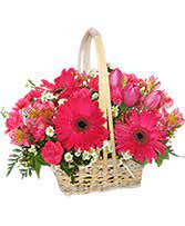 We did not find results for: En Espanol Tampa S Florist Inc Tampa Fl