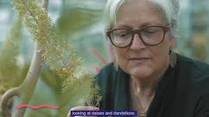 Leadership & management lessons learned directing IRIS: Part 1