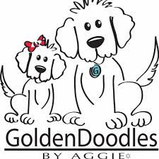 Keep your kids busy doing something fun and creative by printing out free coloring pages. Goldendoodle S By Aggie Home Facebook
