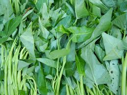 Image result for Ipomoea aquatica