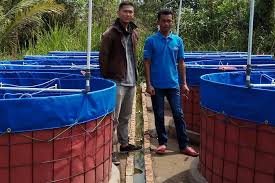 Pin Oleh Dhd Farm Di Budidaya Lele Bioflok Kolam