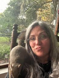 What to do with a baby squirrel brought by a cat in Orlando, FL?