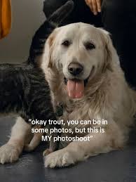 Bruce can have the derpiest, goofiest, teeth-baring, lip-curling, “head  empty no thoughts” look