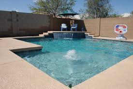 Dolphin Pool With Splash Down On The Baja Step Raised Wall With Sheer Descent Dolphin Pools Pool Builders Backyard Pool