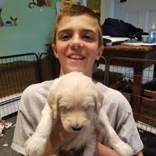 Joey Beyer's Instagram, Twitter & Facebook