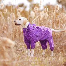 high neck hooded jumpsuit raincoat kutshy dog raincoat big dog harness dog area