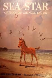 Sea Star Orphan Of Chincoteague By Marguerite Henry 1949 Horse Books Horse Art Dog Books