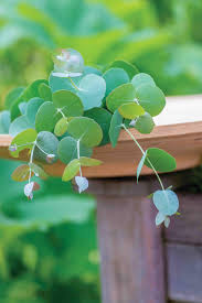 Upscale look artificial flowers are perfect for any landscaping project or decor style without having to worry about sunlight, watering, pruning or other maintenance; Best Smelling Houseplants Diy Network Blog Made Remade Diy