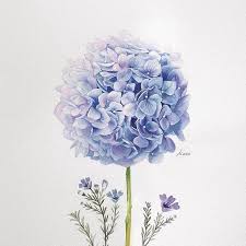 1001 Ideas And Tutorials For Easy Flowers To Draw Pictures Acrylic painting for beginners of beautiful and simple flowers.