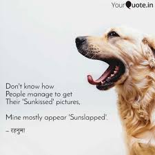 Best Sunkissed Quotes Status Shayari Poetry Thoughts Yourquote