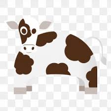 This is actually an indian breed of cattle. Brahman Cattle Images Brahman Cattle Transparent Png Free Download
