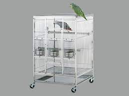 Stainless Steel Welded Animal Fence Tiger Lion Bird Stainless Steel Welding Wire Mesh Fence Stainless Steel