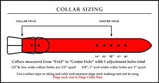 dog collar sizes chart bedowntowndaytona com