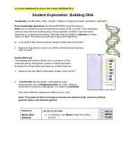 The atom has been played in various tv series by alfie wis. Kami Export Suhitha Reddy Buildingdnasepd2 1 Pdf Suhitha Reddy Name Date Student Exploration Building Dna All Answers Must Be In Blue Vocabulary Course Hero
