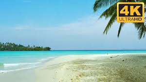 We did not find results for: 4k Beach Screensaver Of White Sandbank Tv Screensaver In 4k Windows Screensaver Youtube