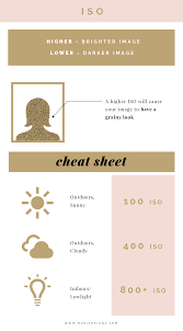 Manual Mode The Ultimate Guide For Beginner Photographers Manual Photography Manual Mode Dslr Photography