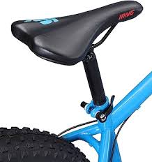 Amazon.com : Mongoose Argus ST Fat Tire Mountain Bike for Youth Boys Girls,  24-Inch Wheels, Mechanical Disc Brakes, 12-Inch Steel Hardtail Frame,  7-Speed, Blue : Sports & Outdoors