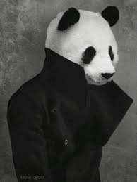 Black And White Panda Wallpaper Pin De Rushworld En Black White Arte De Panda Ilustraciones De Animales Animales Con Ropa