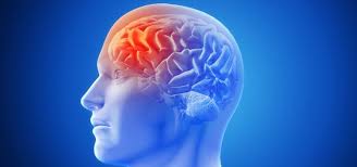 Entre el 30 y el 50% de las personas con encefalitis pueden sufrir secuelas neurológicas o psiquiátricas permanentes. En Espana Se Diagnostican Unos 600 Casos De Encefalitis A