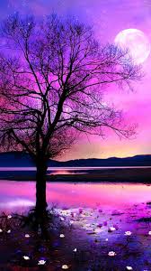 What you need to know is that these images that you add will neither increase nor decrease the speed of your computer. Cute Nature Wallpapers 4k Hd Cute Nature Backgrounds On Wallpaperbat