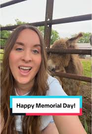 Explore Farmhouse Style Home Renovations with Judy Steele