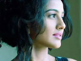 Hina 'Anarkali' Parmar talks about her show Jodha Akbar!