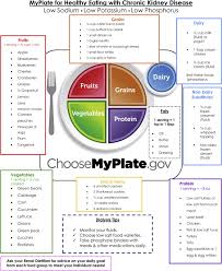Pack a snack to eat after the treatment. Myplate For Healthy Eating With Chronic Kidney Disease Myplate Education For Patients With Chronic Kidney Disease Receiving Hemodialysis And Peritoneal Dialysis Treatment Journal Of Renal Nutrition