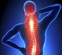We did not find results for: How Can A Chiropractor Help For Acute Or Chronic Back Neck Pain Pennant Hills Chiropractic