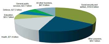 55 rare pie chart of national budget